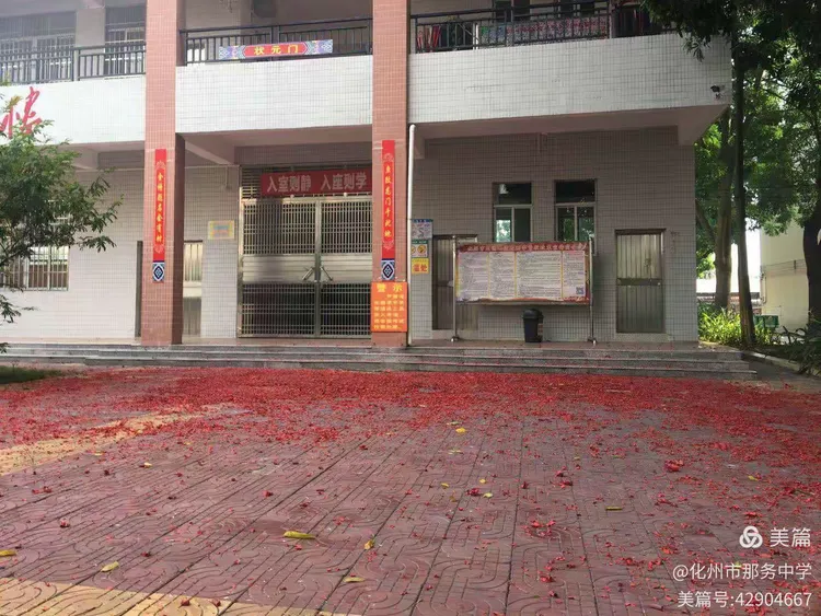 高考捷报喜传来 低进高出创辉煌